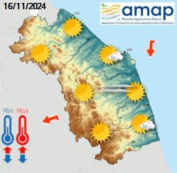 Previsione 24h